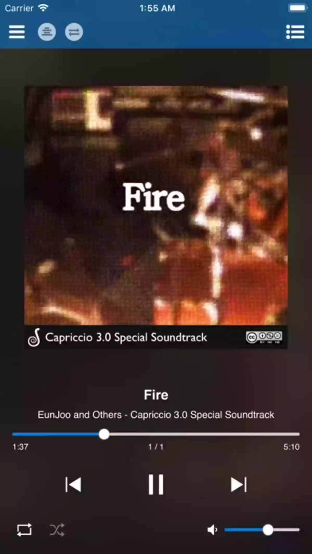 魅力的な機能が満載の音楽プレーヤーです。|MINHEE JUNG Capriccio