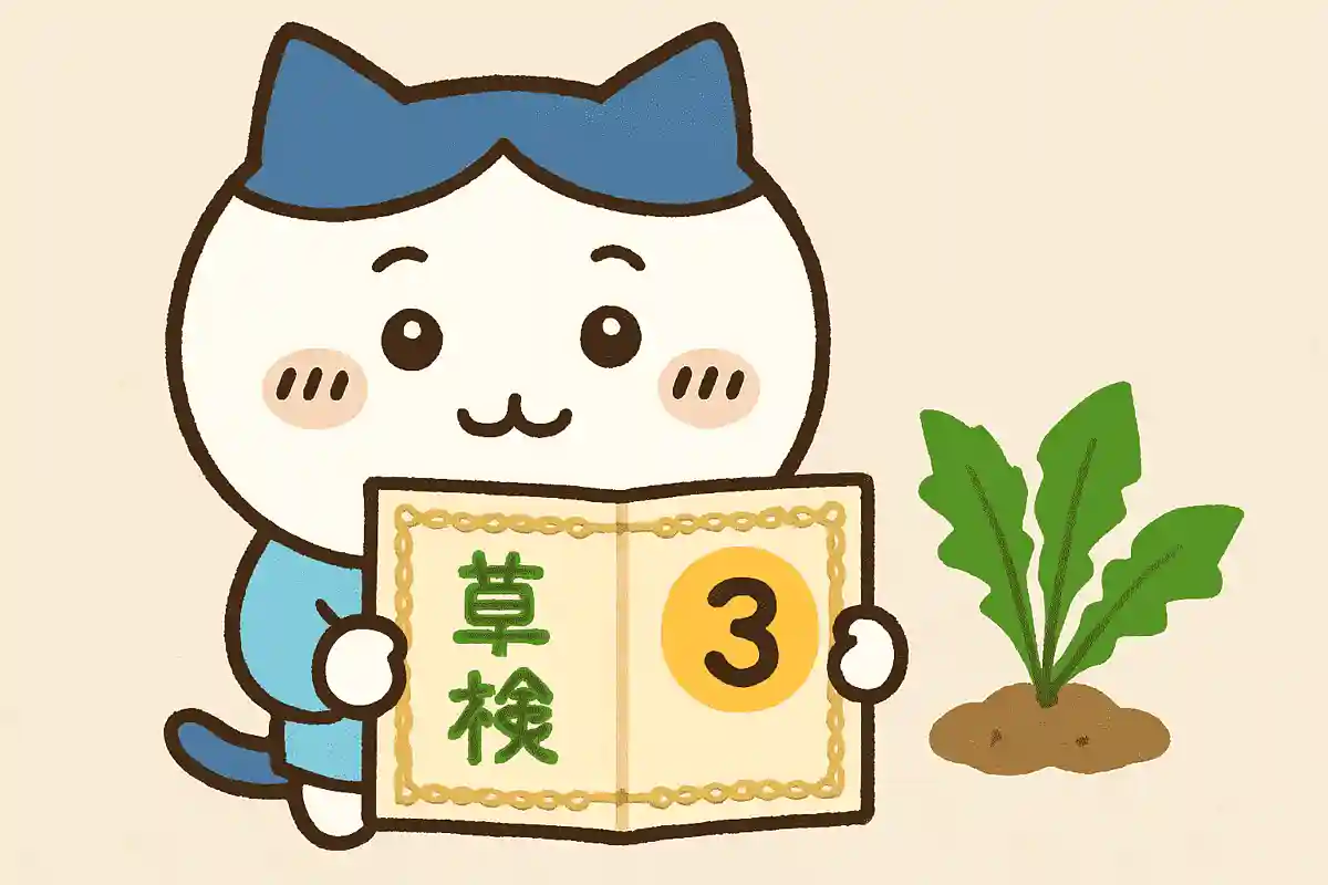 What level is the “Weeding Certification” that Hachiware from “Chiikawa” holds?