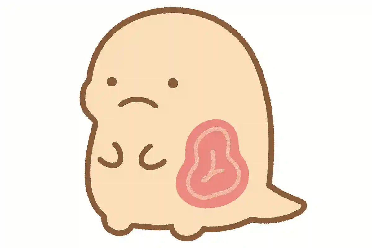 Which character in Sumikkogurashi is made of 1% meat and 99% fat?