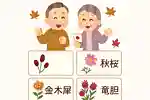 [For Seniors] Let’s Have Fun with an Autumn Flower Kanji Quiz! A Collection of Kanji That Look Readable but Aren’t