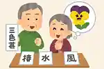 [For Seniors] Let’s Get Excited with a Winter Flower Kanji Quiz! Introducing Some Challenging Questions