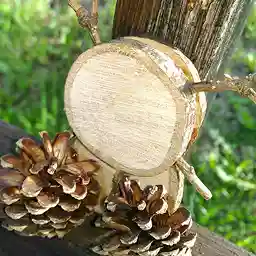 けぴこ