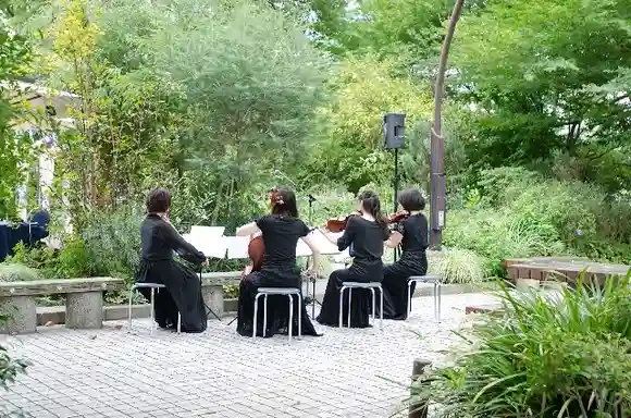 Wind countermeasures