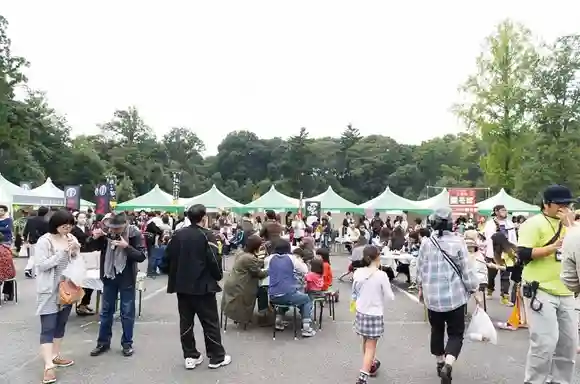 Forest of Dreams Festival