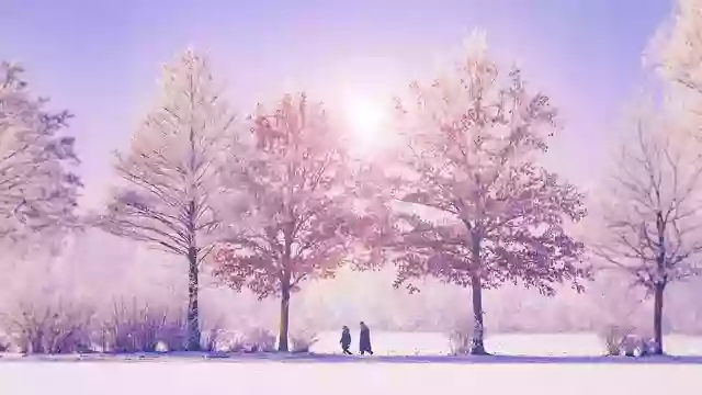 【2024】人気の冬フェスまとめ。寒い季節の音楽フェス