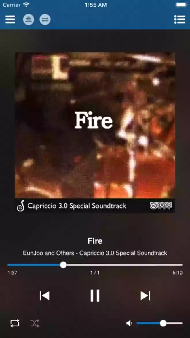 魅力的な機能が満載の音楽プレーヤーです。|MINHEE JUNG Capriccio